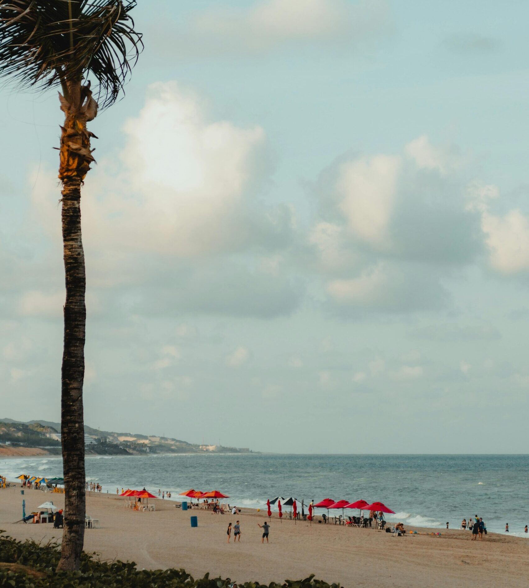 Palm tree and beachgoers on a picturesque RN beach under cloudy skies.